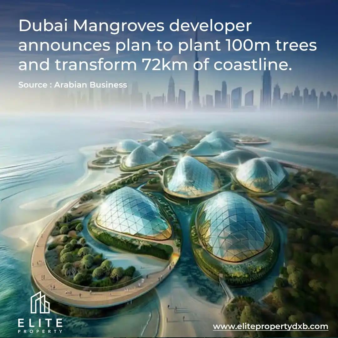 Dubai Mangroves developer announces plan to plant 100m trees and transform 72km of coastline
